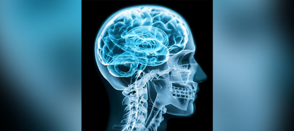 summer-2019-mild-trauma-brain-injuries-604×270-1