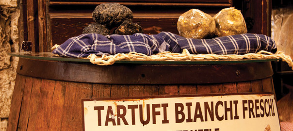 truffles-in-italy-604×270-1
