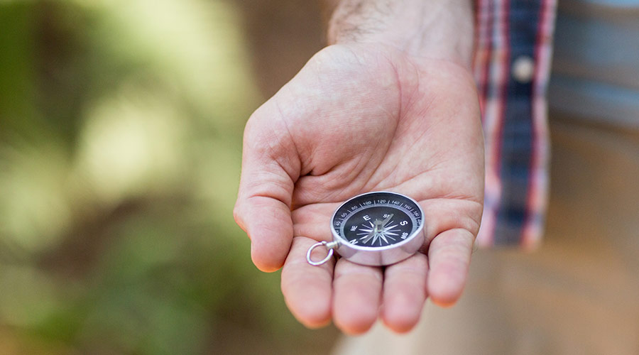 11-2020-risk-and-reward-in-2020