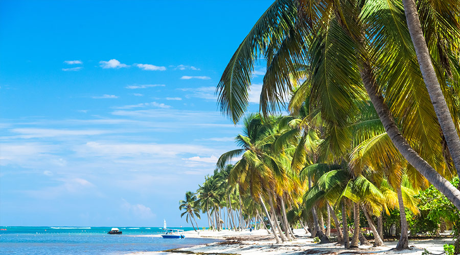 Set-Sail-on-the-Scarlet-Lady